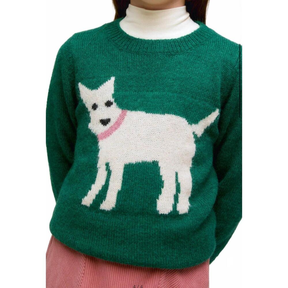 NEW COMPANIA FANTASTICA dog sweater in green